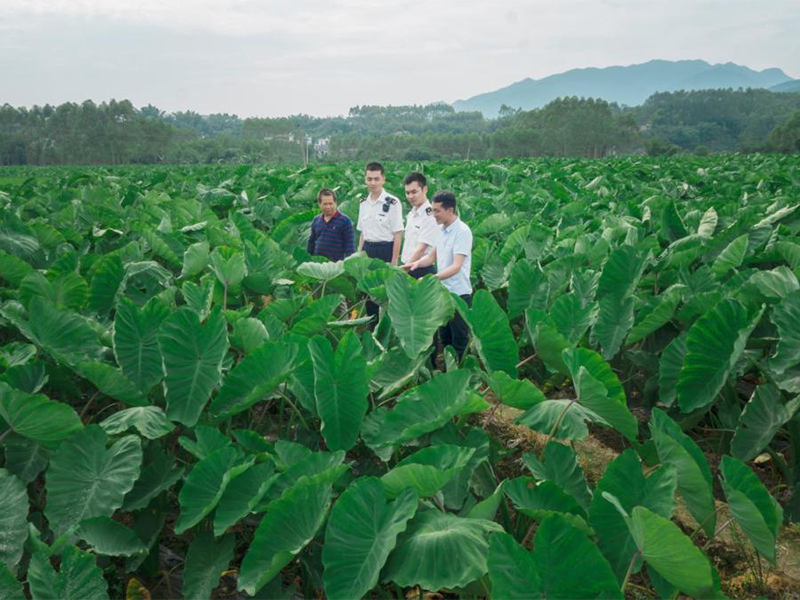 基地环境